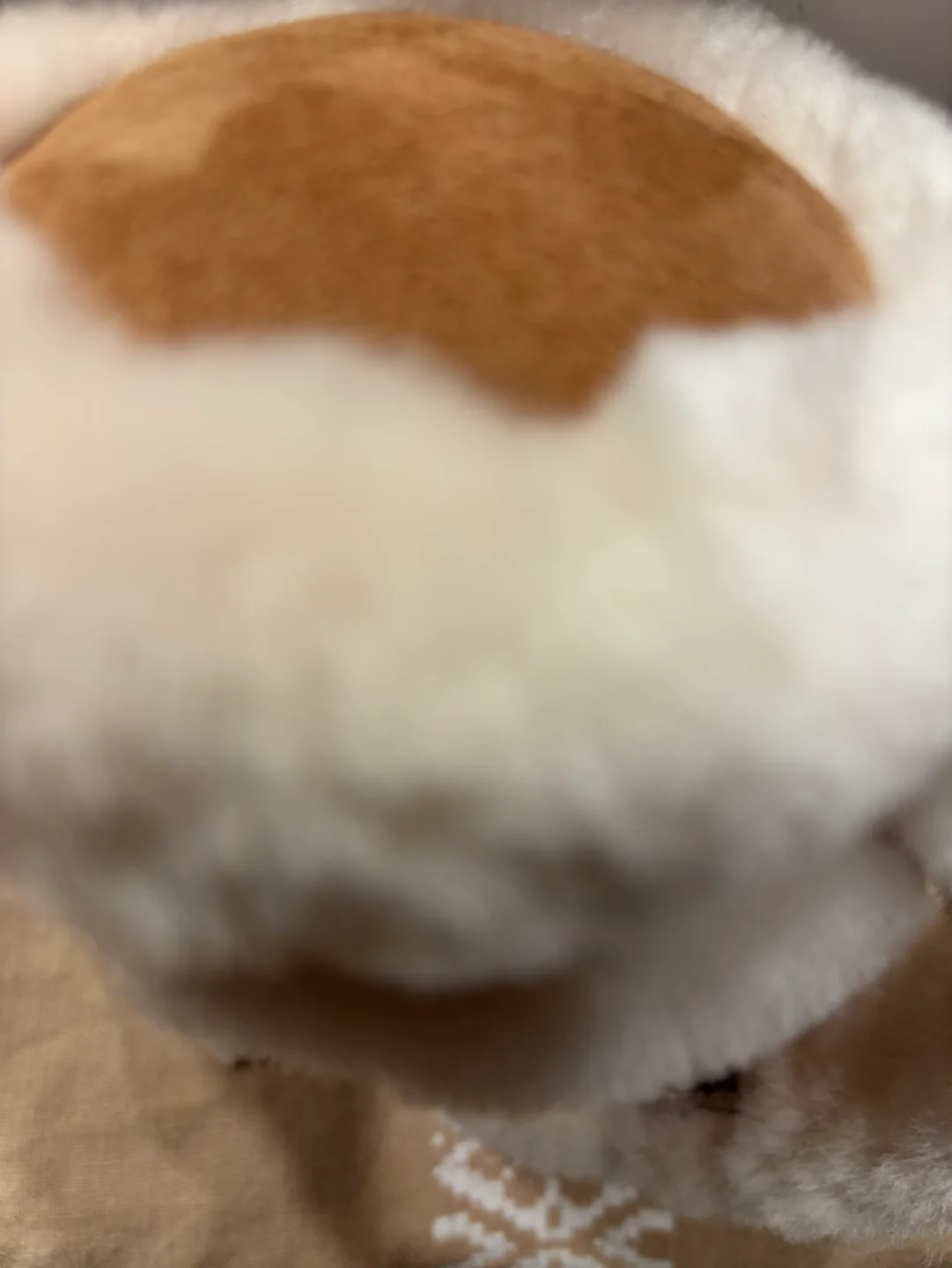 Ugg winter earmuff image indicator(3)