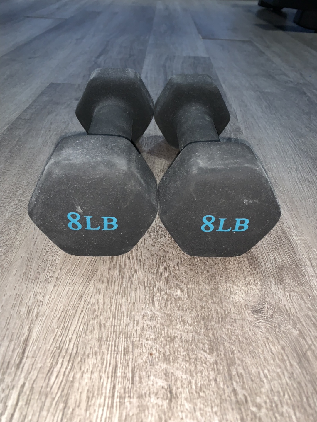 8lb Dumbbells