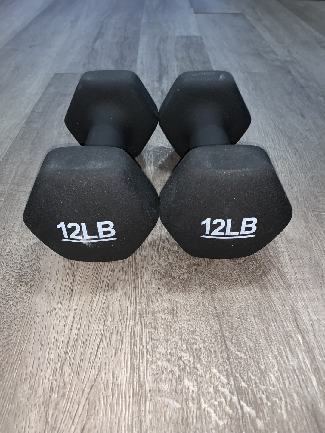 12lb Dumbbells