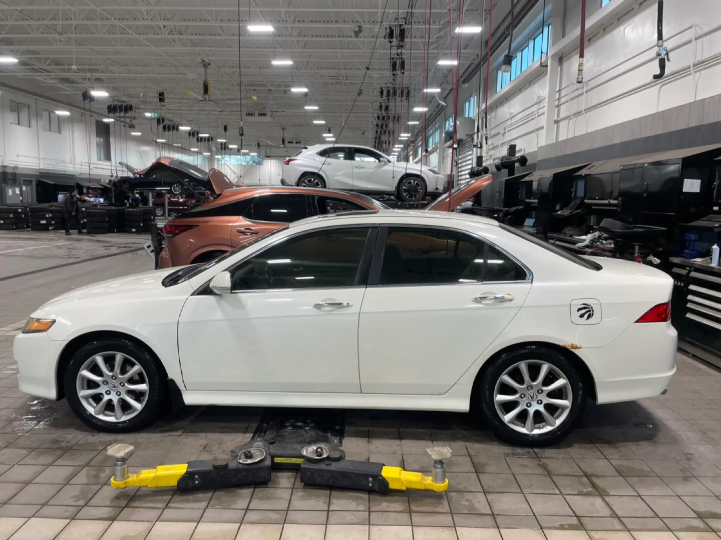 2008 Acura Tsx 6 spd SAFETIED image indicator(3)