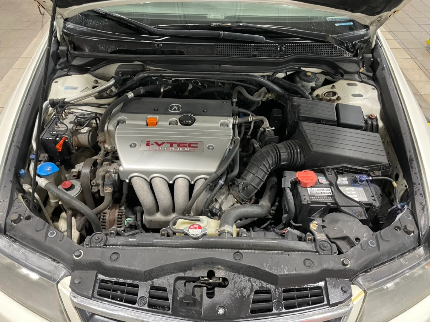 2008 Acura Tsx 6 spd SAFETIED image indicator(7)