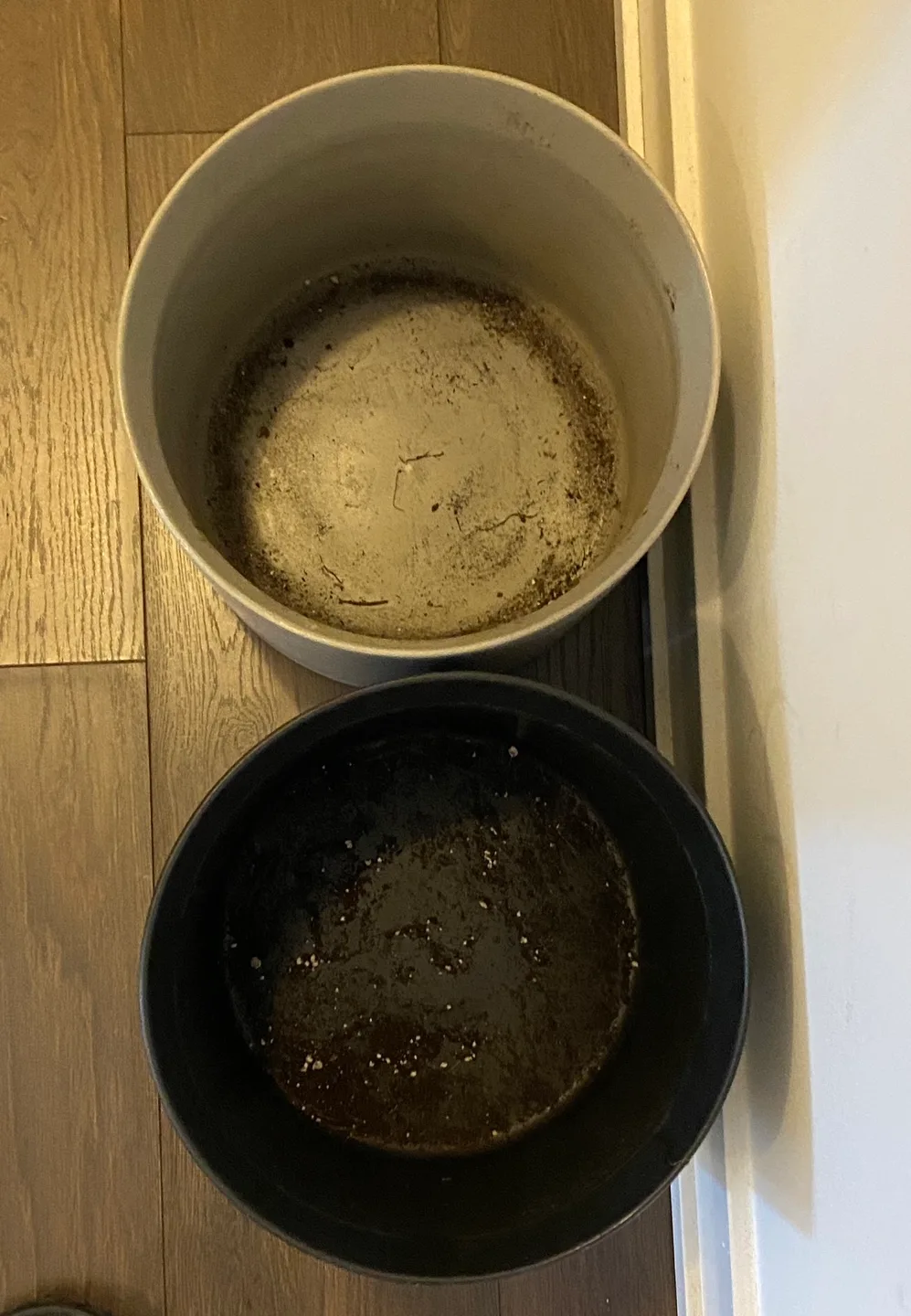 Two Large Ceramic Plant Pots image indicator(4)