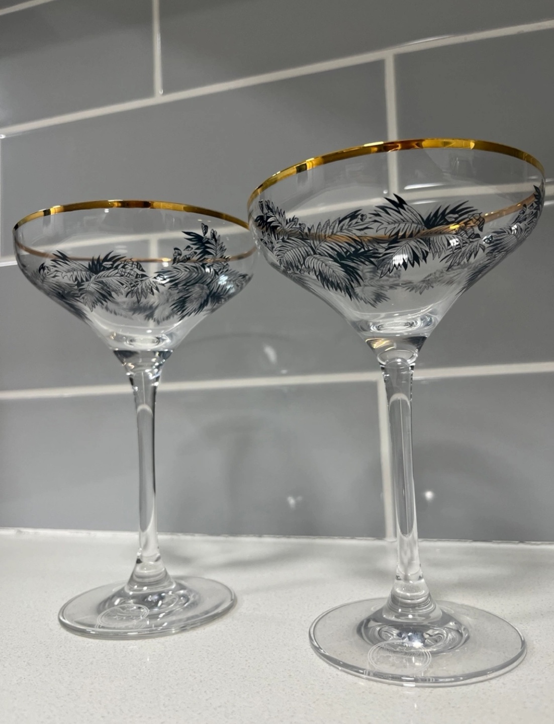 Bacardi Martini Glasses & Tramontina Cast Iron Skillets