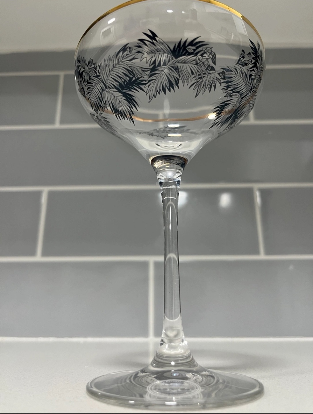 Bacardi Martini Glasses & Tramontina Cast Iron Skillets - photo 2