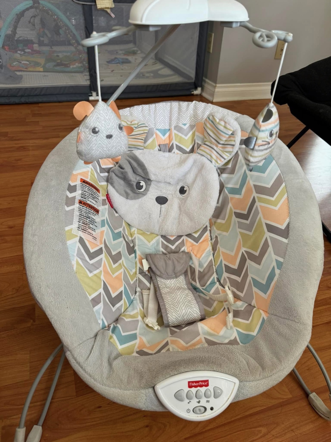 Fisher-Price Baby Swing & Bouncer - photo 2