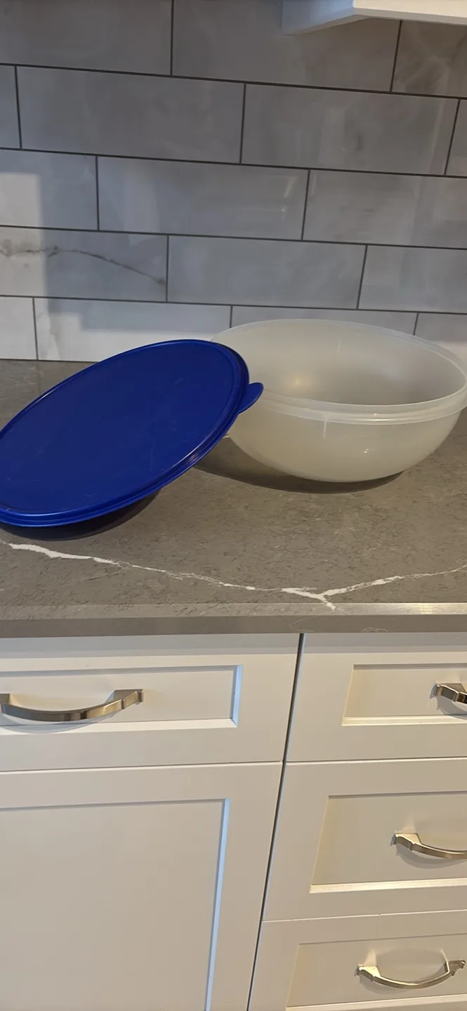 Extra large Tupperware Bowl with Blue Lid image indicator(2)