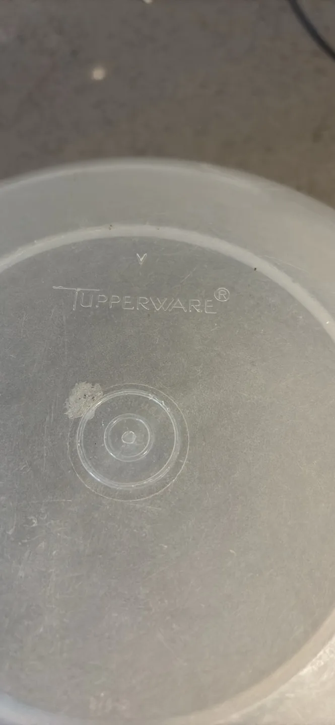 Extra large Tupperware Bowl with Blue Lid image indicator(3)