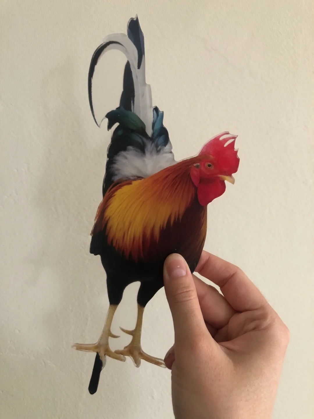 Rooster Garden Stakes - Set of 2 image indicator(3)