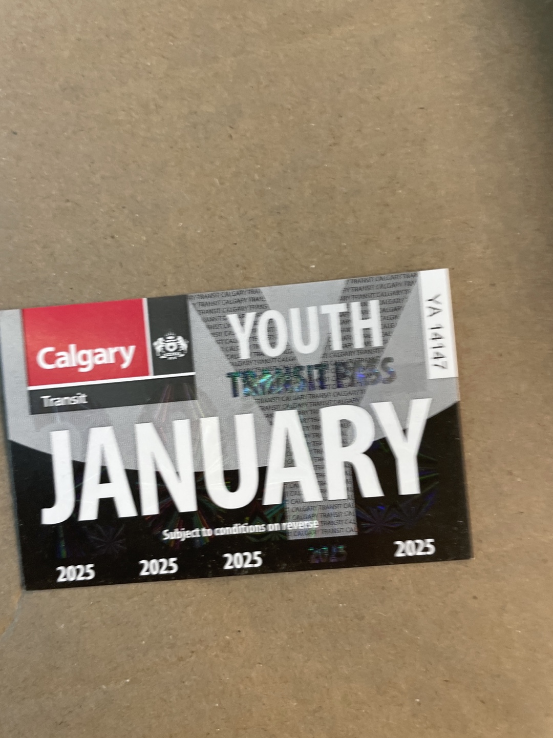 December transit pass