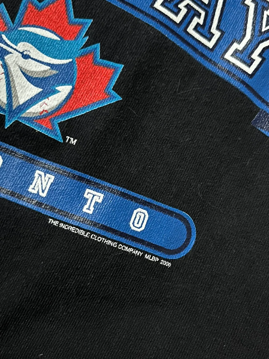 Vintage Toronto Blue Jays tee XXL 2000 90s y2k raptors leafs image indicator(3)