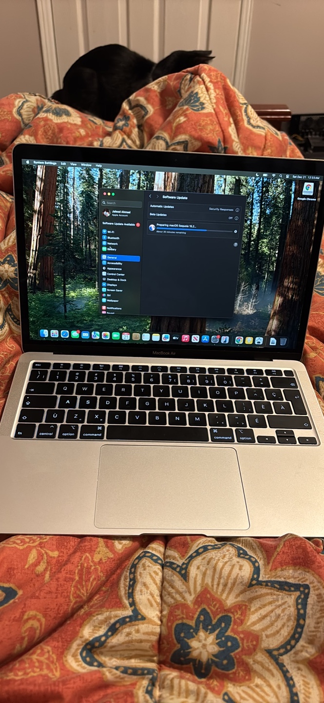 MacBook Air 2020 174 CYCLE COUNT ONLY