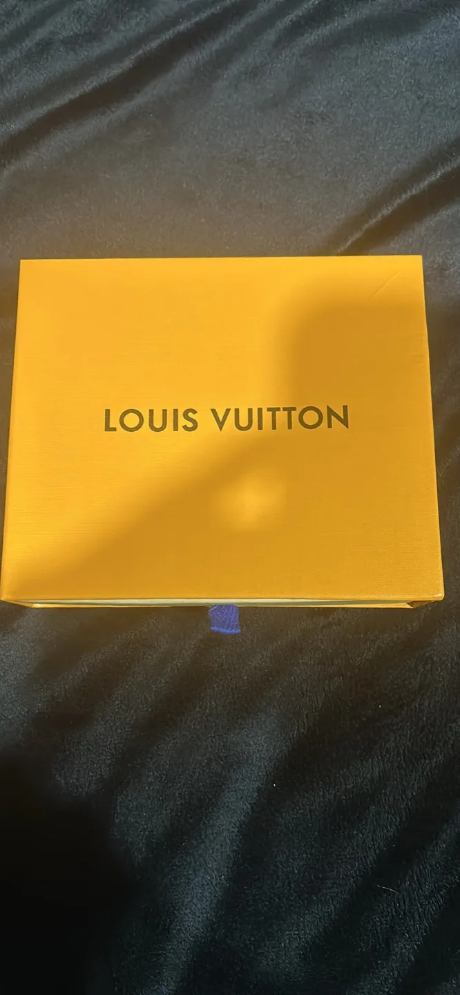 Louis Vuitton Black Wallet image indicator(6)