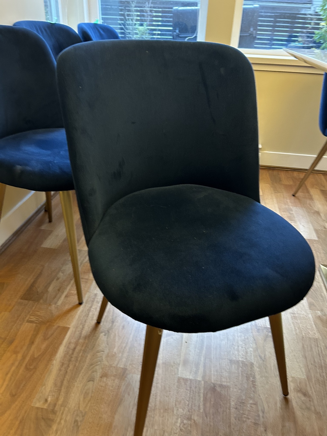 8 west elm Velvet Dining Chairs - photo 2