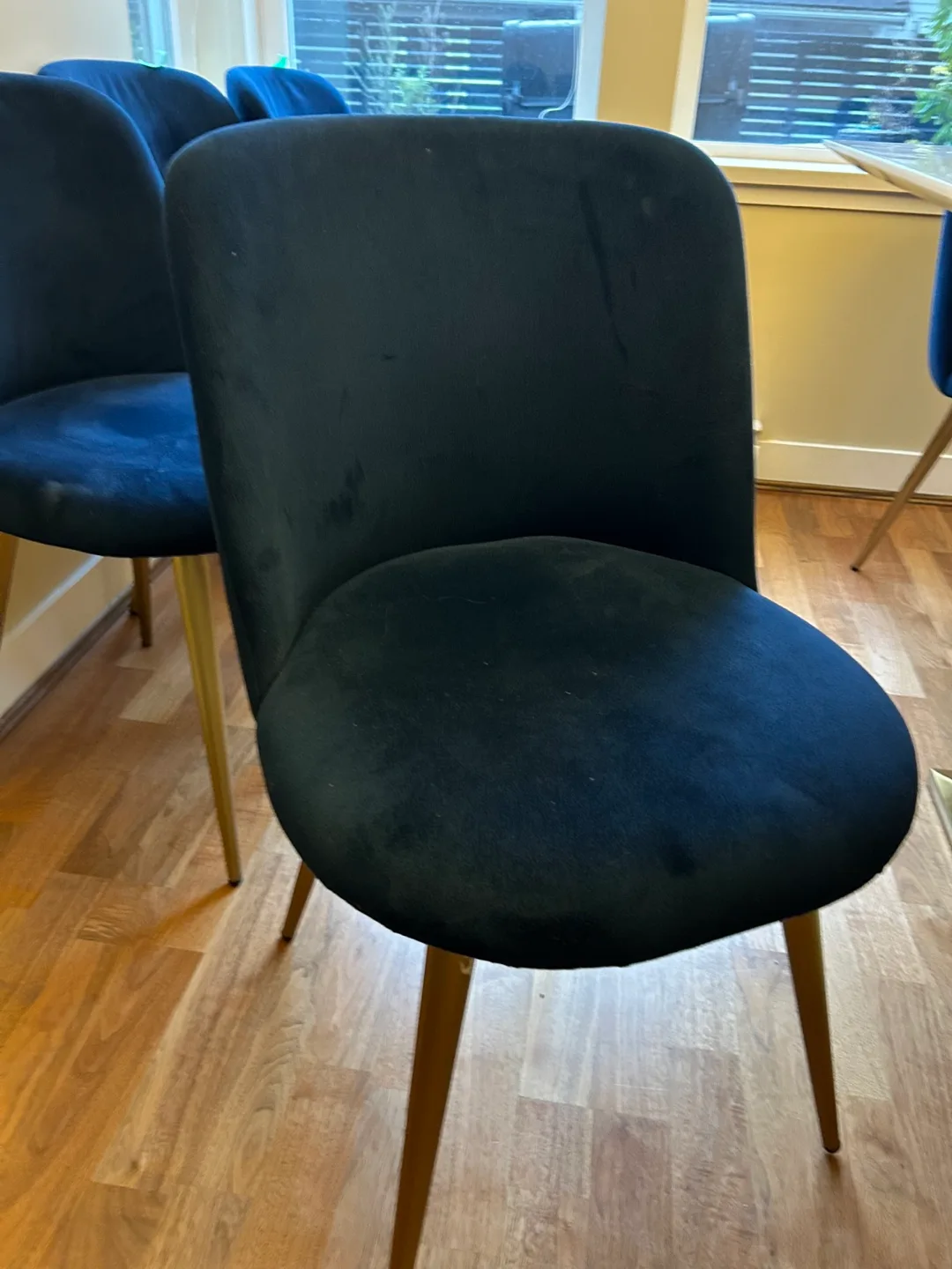 8 west elm Velvet Dining Chairs image indicator(2)