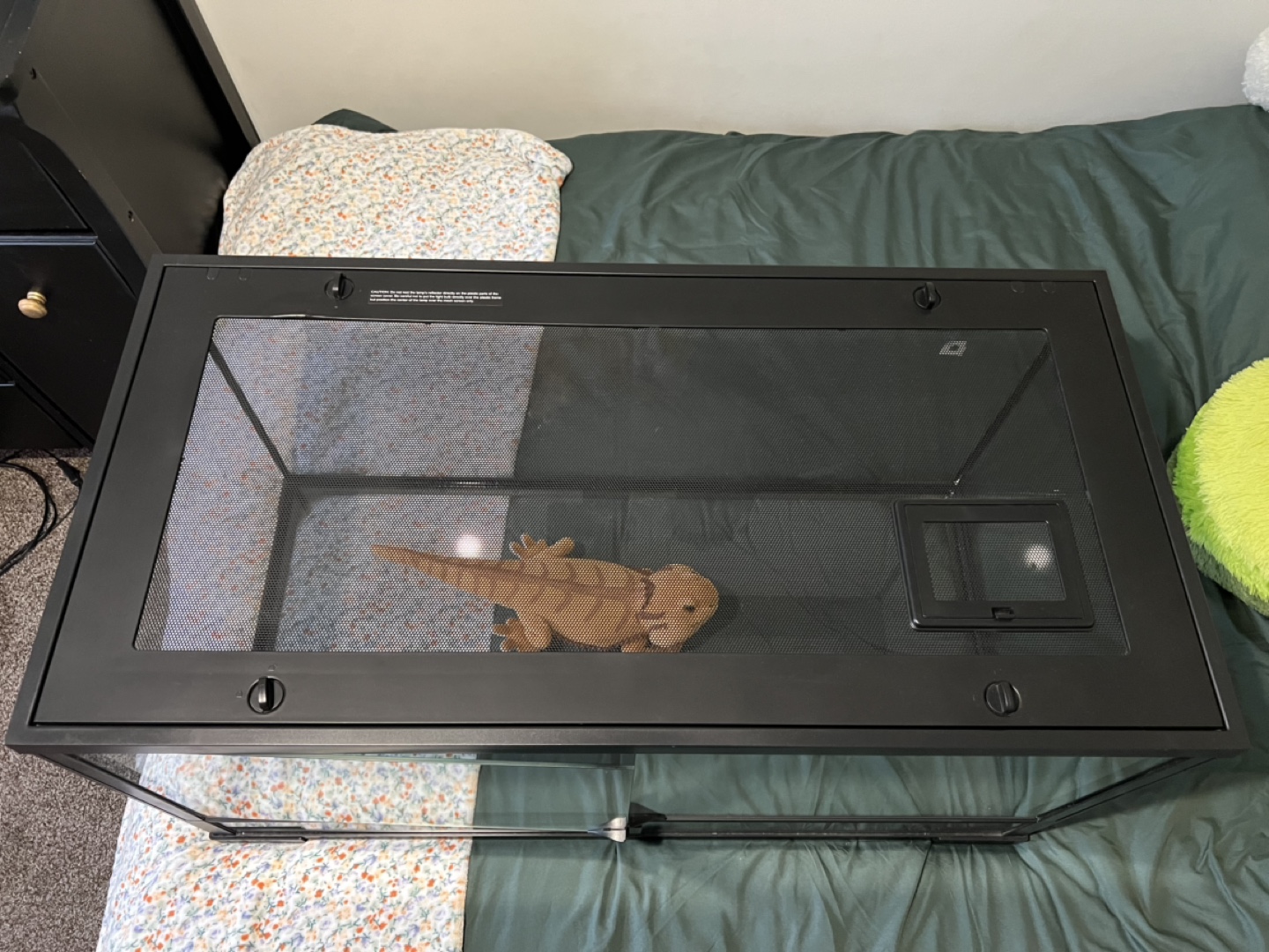 40 Gallon Glass Reptile Tank - photo 2