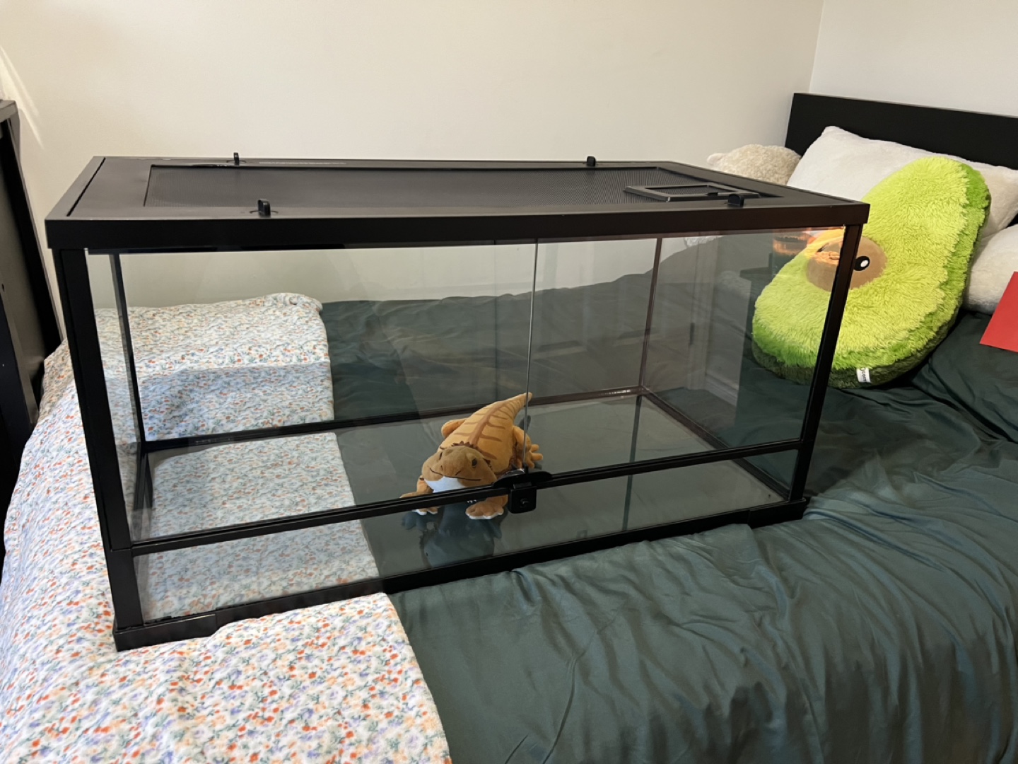 40 Gallon Glass Reptile Tank