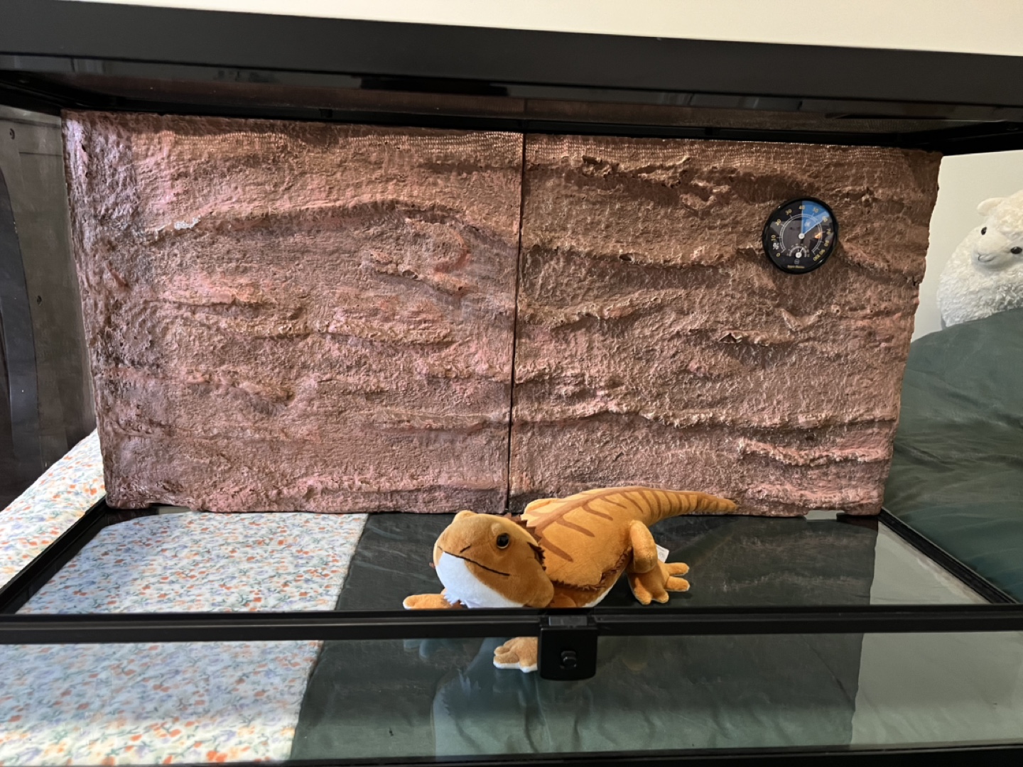 40 Gallon Glass Reptile Tank - photo 3