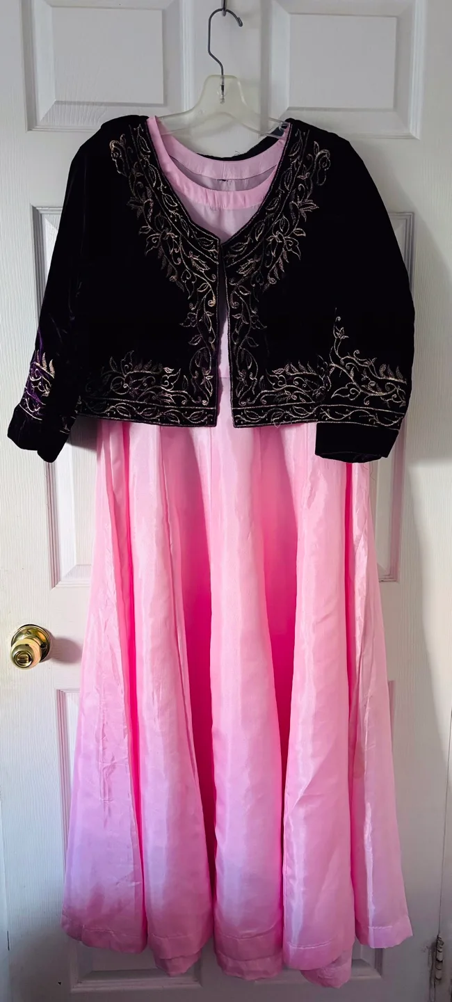 Embroidered Velvet top and  Pink Dress image indicator(4)