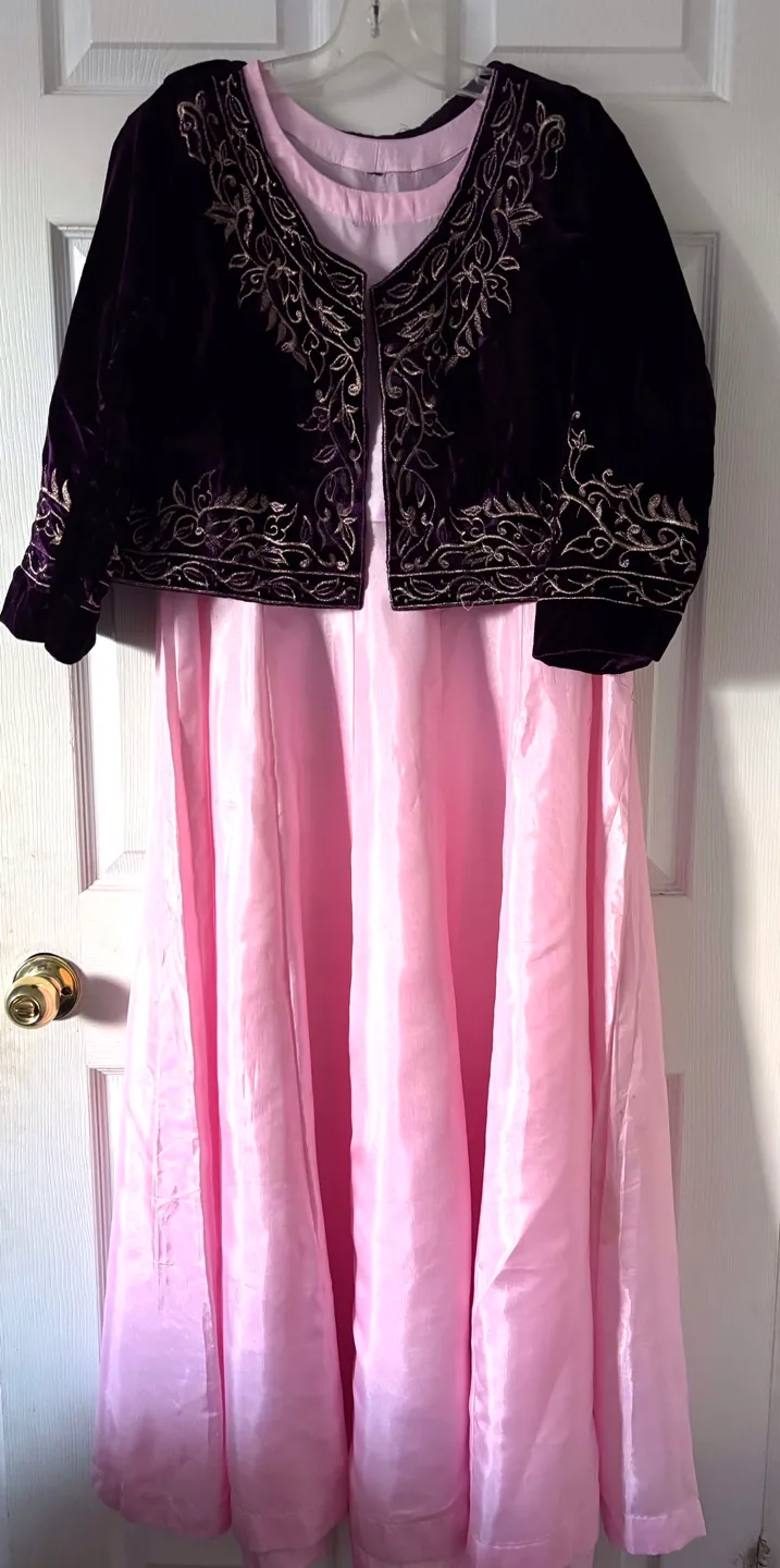 Embroidered Velvet top and  Pink Dress image indicator(2)