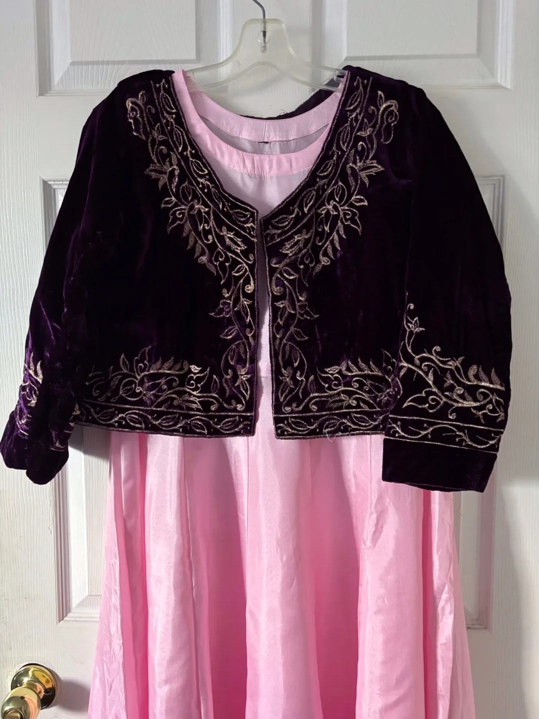 Embroidered Velvet top and  Pink Dress image indicator(3)