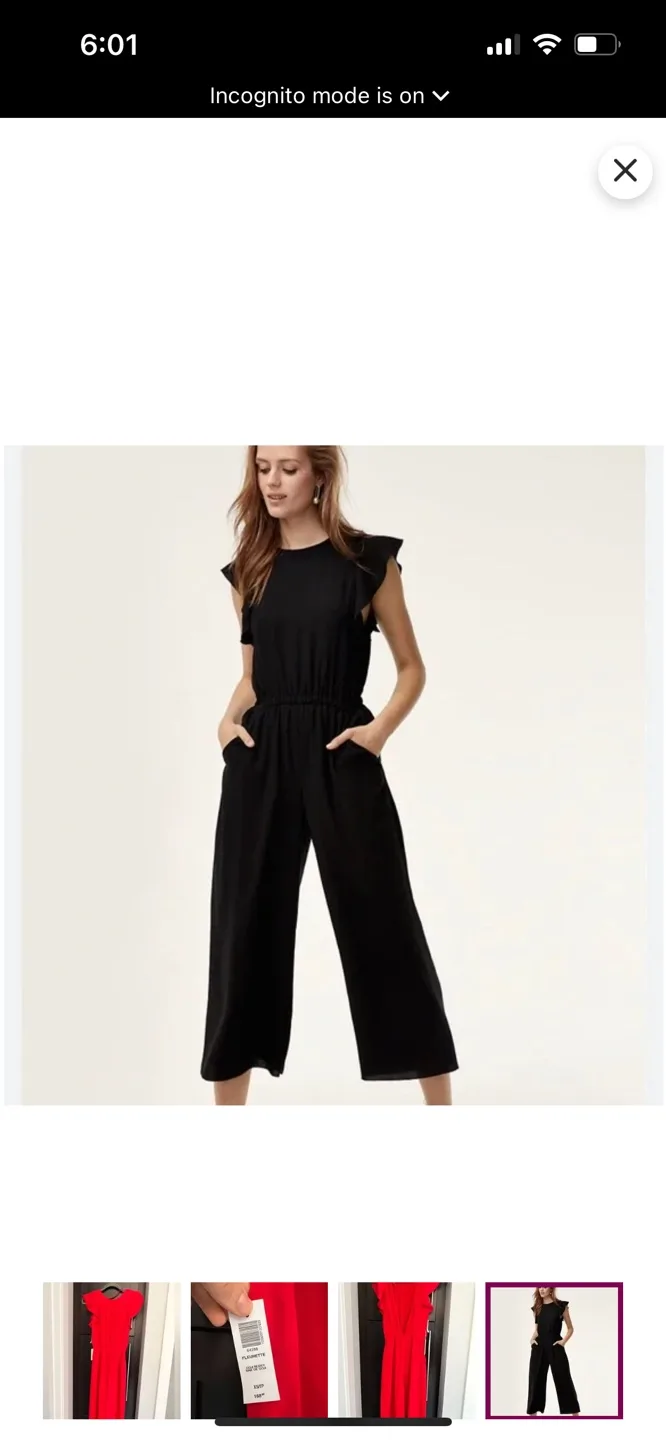 Aritzia Wilfred Red Jumpsuit image indicator(4)