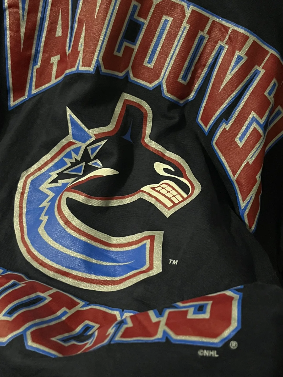 Vintage Vancouver Canucks tee M y2k 90s leafs raptors bulls image indicator(3)