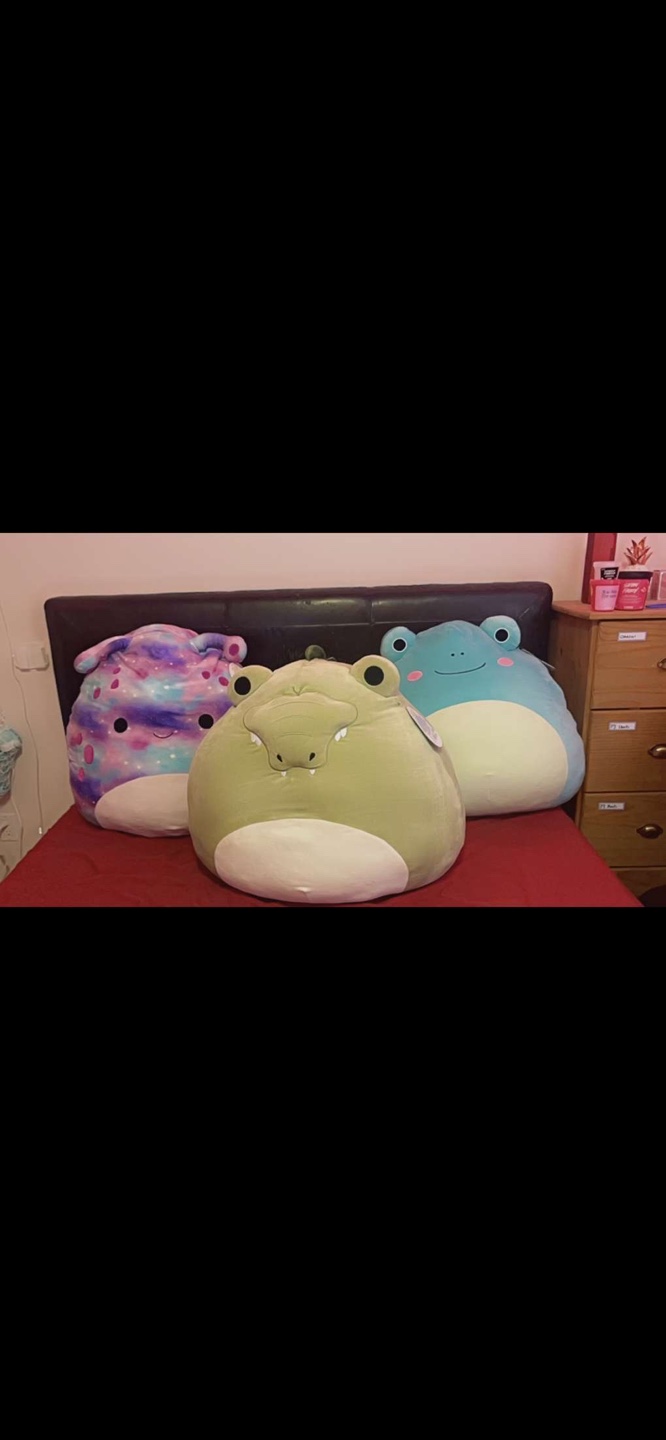24 inch Squishmallow Plushies