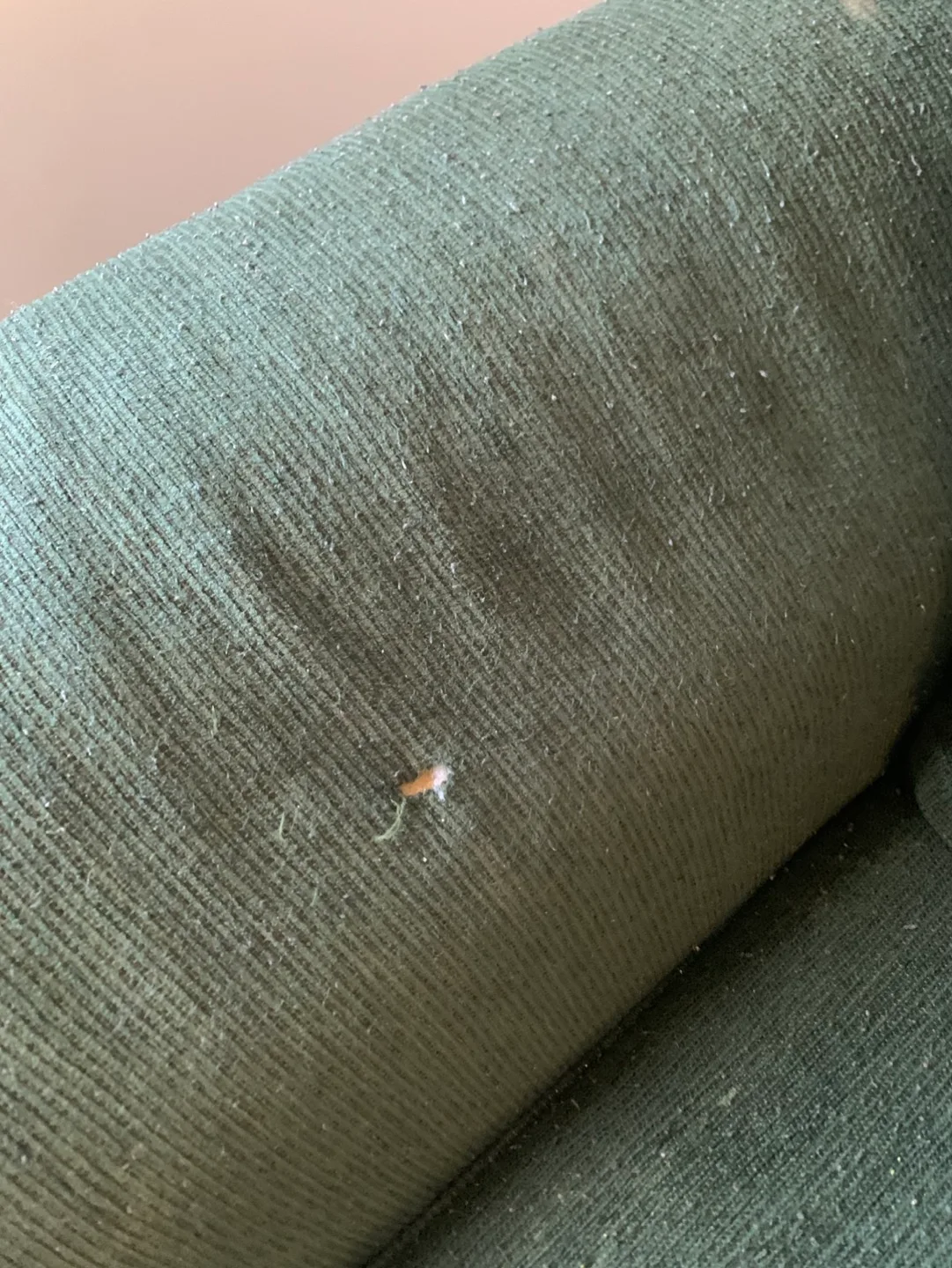 #freecycle - Wide 2 seater couch for sale image indicator(3)