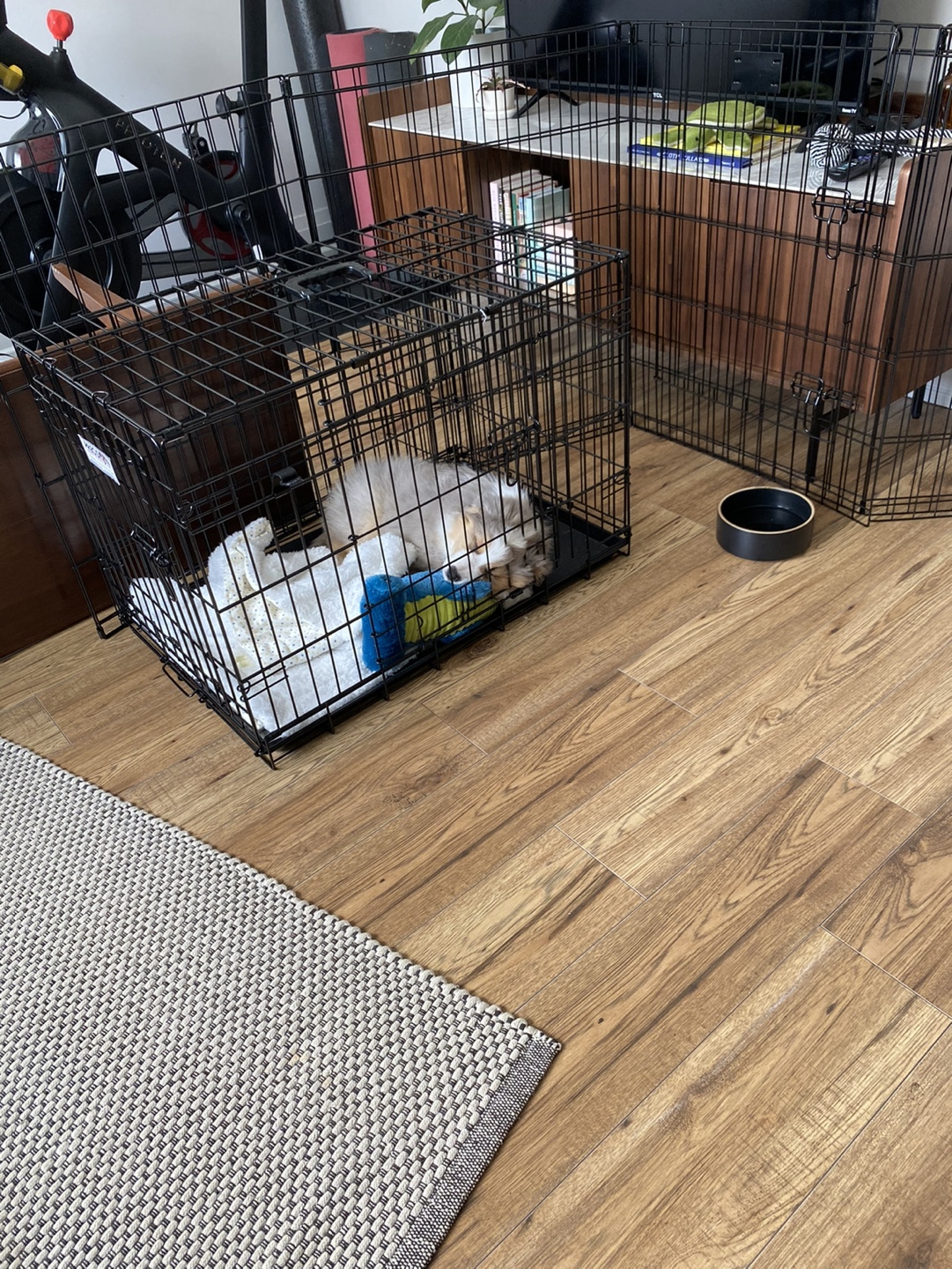 Medium-sized Dog Crate with Removable Pan - photo 3