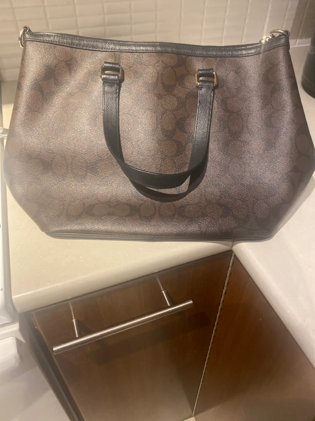 Coach Signature Tote Bag image indicator(2)