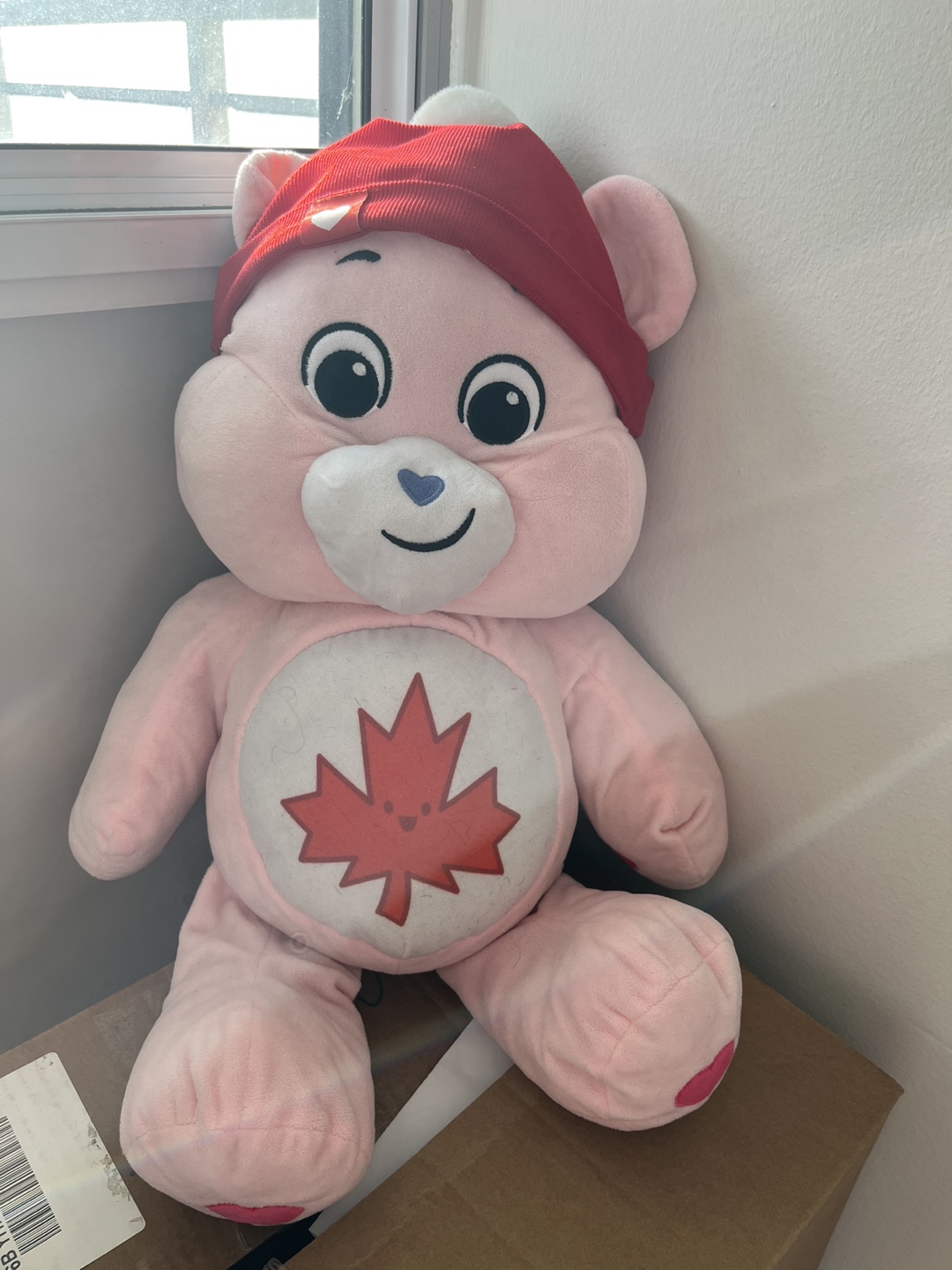 Limited Edition Care Bear Plush Toy