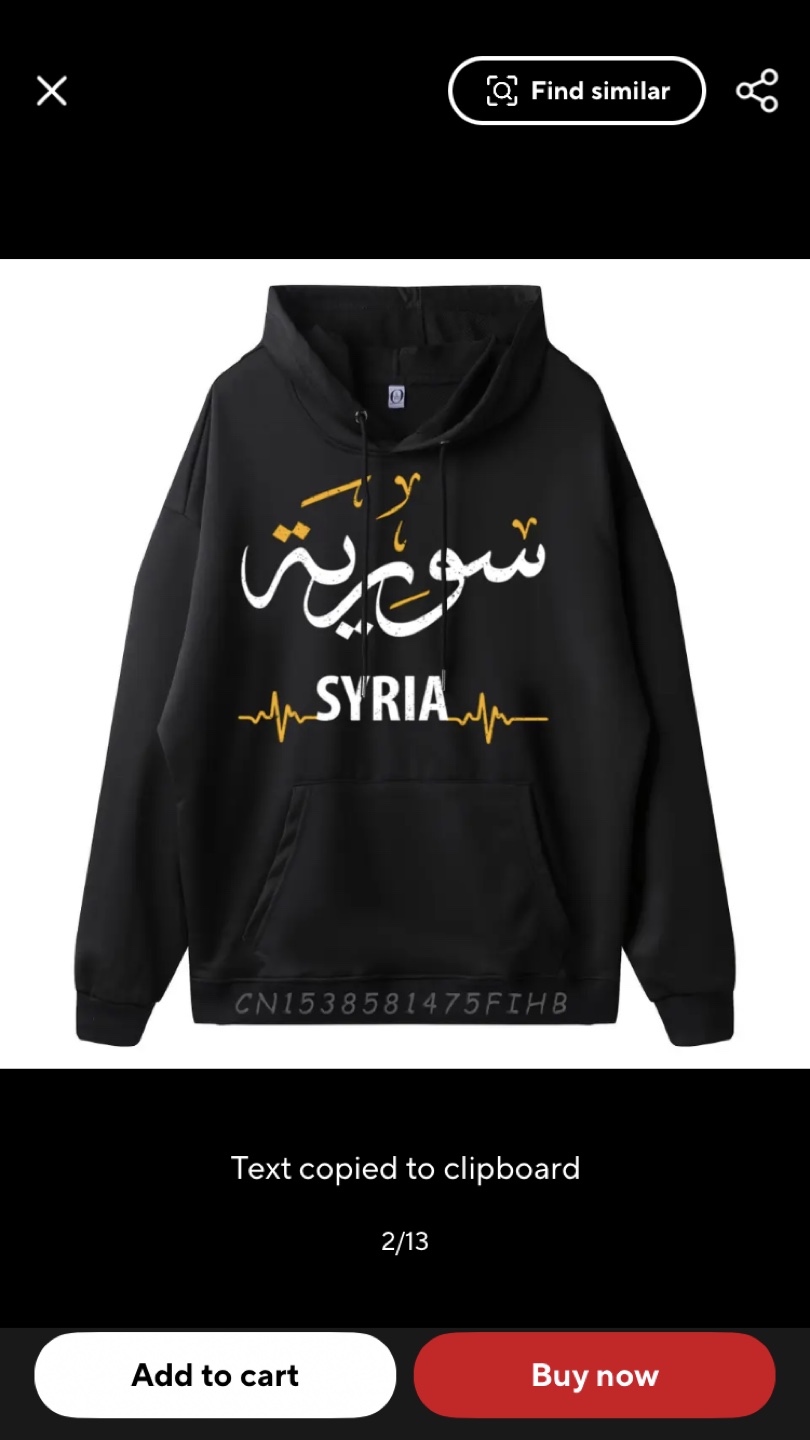 Syria Hoodie - photo 2