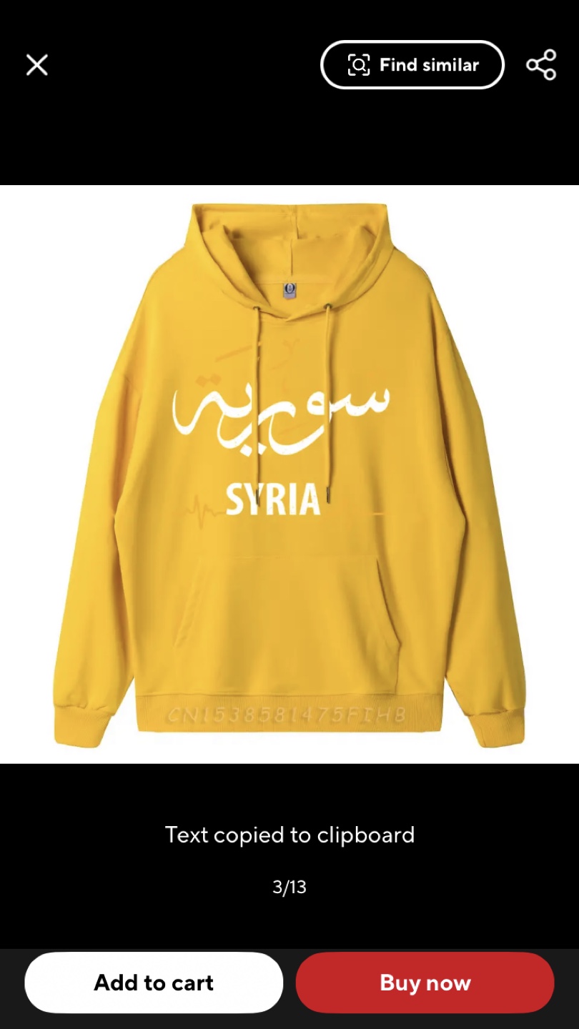 Syria Hoodie - photo 3