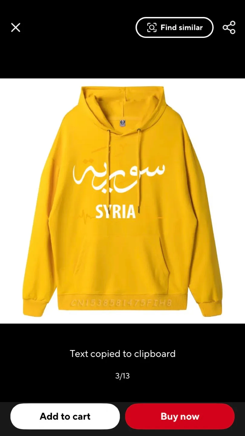 Syria Hoodie image indicator(3)