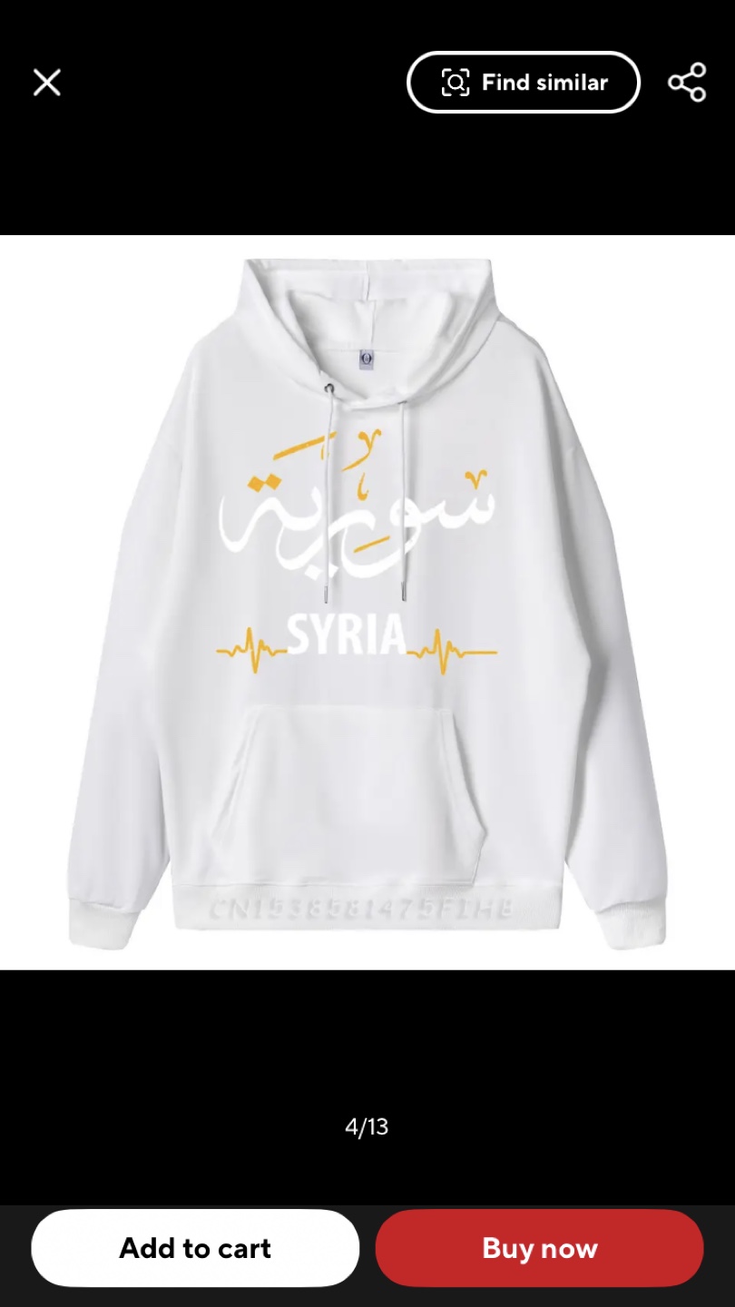 Syria Hoodie - photo 4