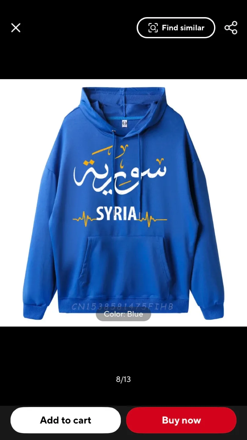 Syria Hoodie image indicator(7)