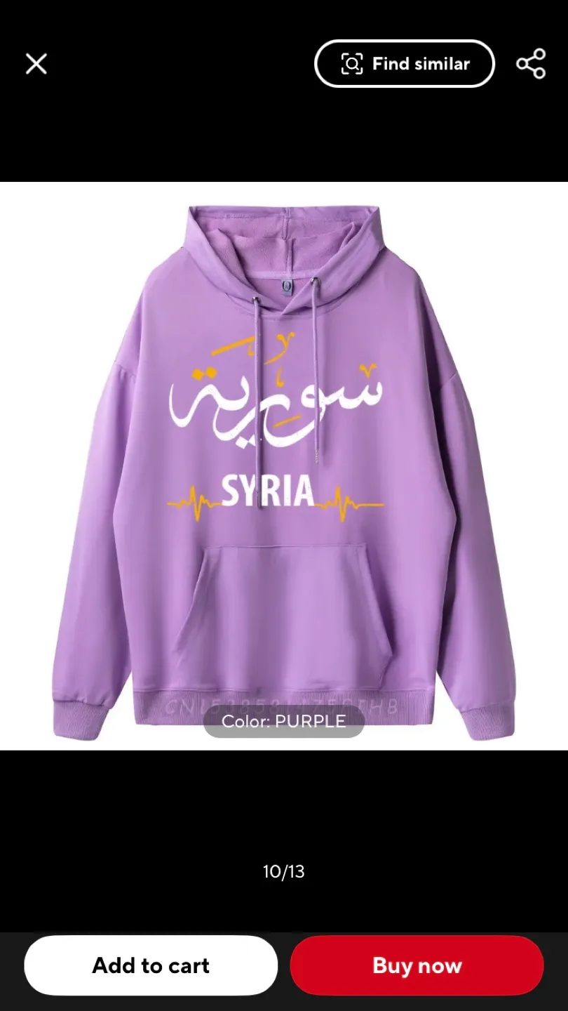 Syria Hoodie image indicator(8)