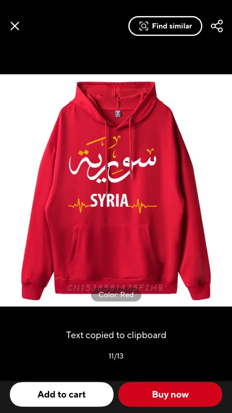 Syria Hoodie image indicator(9)