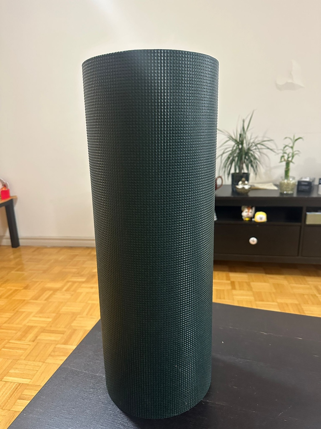 Yoga Mat (moving out sale!) - photo 2