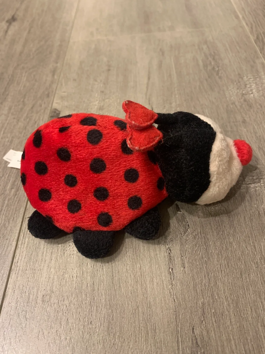 Small Red Ladybug Plush Beanie Toy image indicator(7)