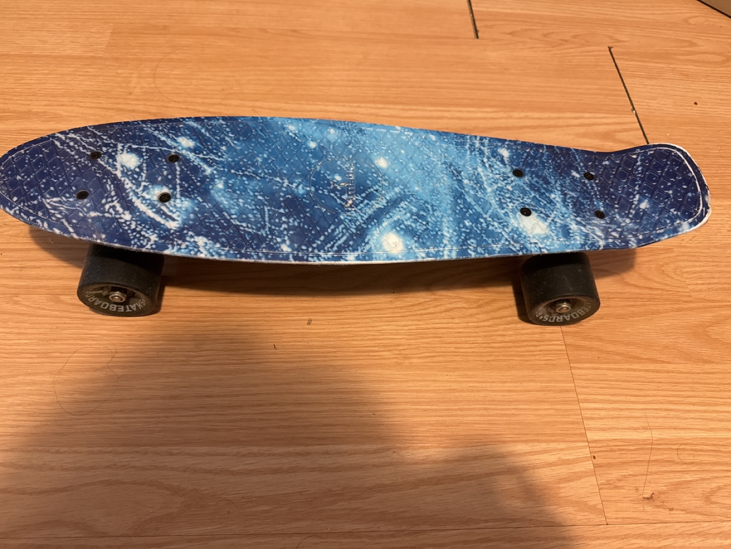 Penny Board Skateboard