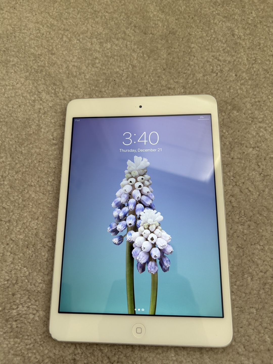 iPad Mini White 16GB