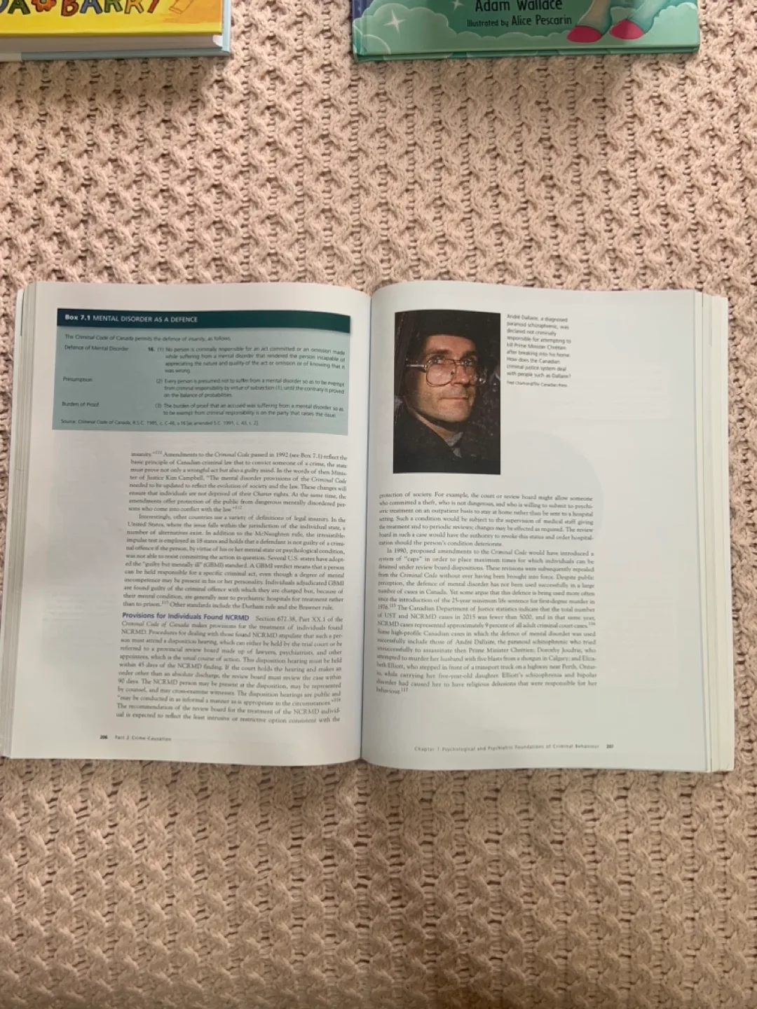 Canadian Criminology Today Sixth Edition Textbook image indicator(6)