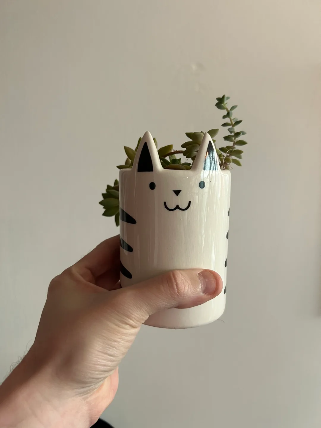 Succulent in Cat Planter thumbnail