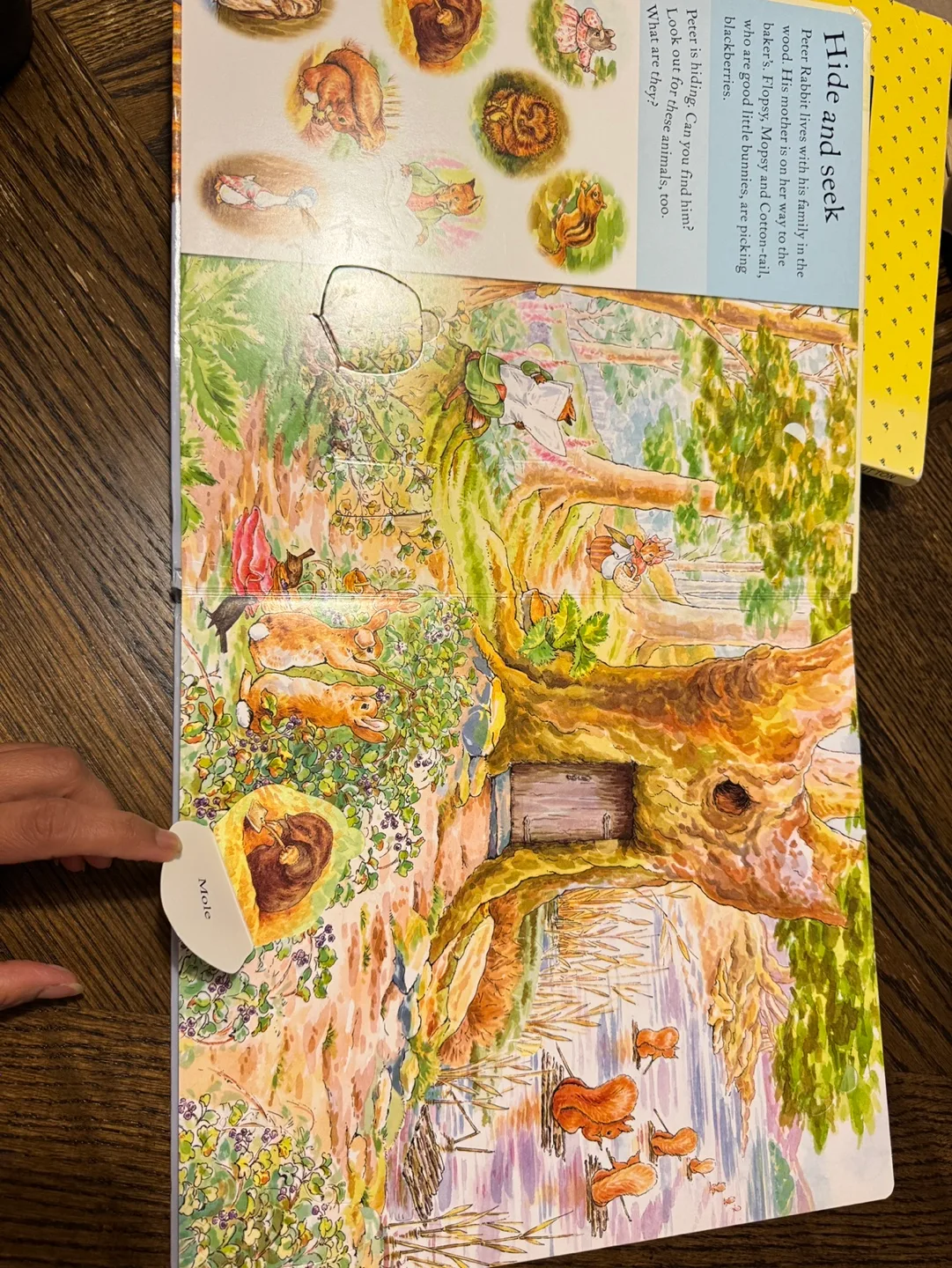 Peter Rabbit Lift-the-Flap Words, image indicator(2)