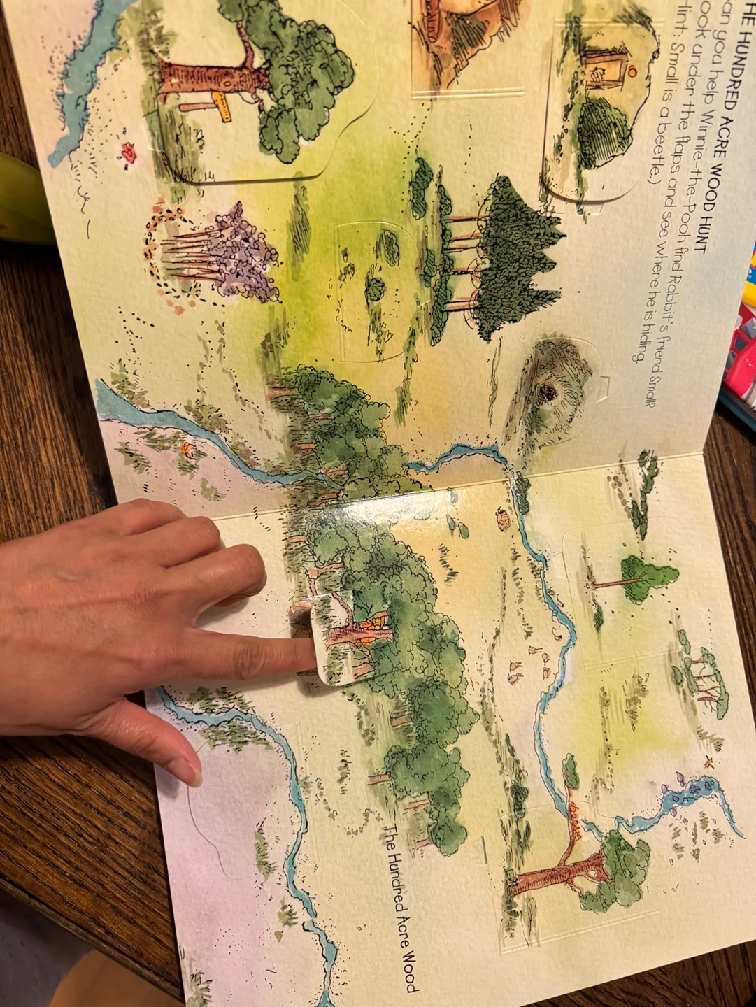 Peter Rabbit Lift-the-Flap Words, image indicator(5)