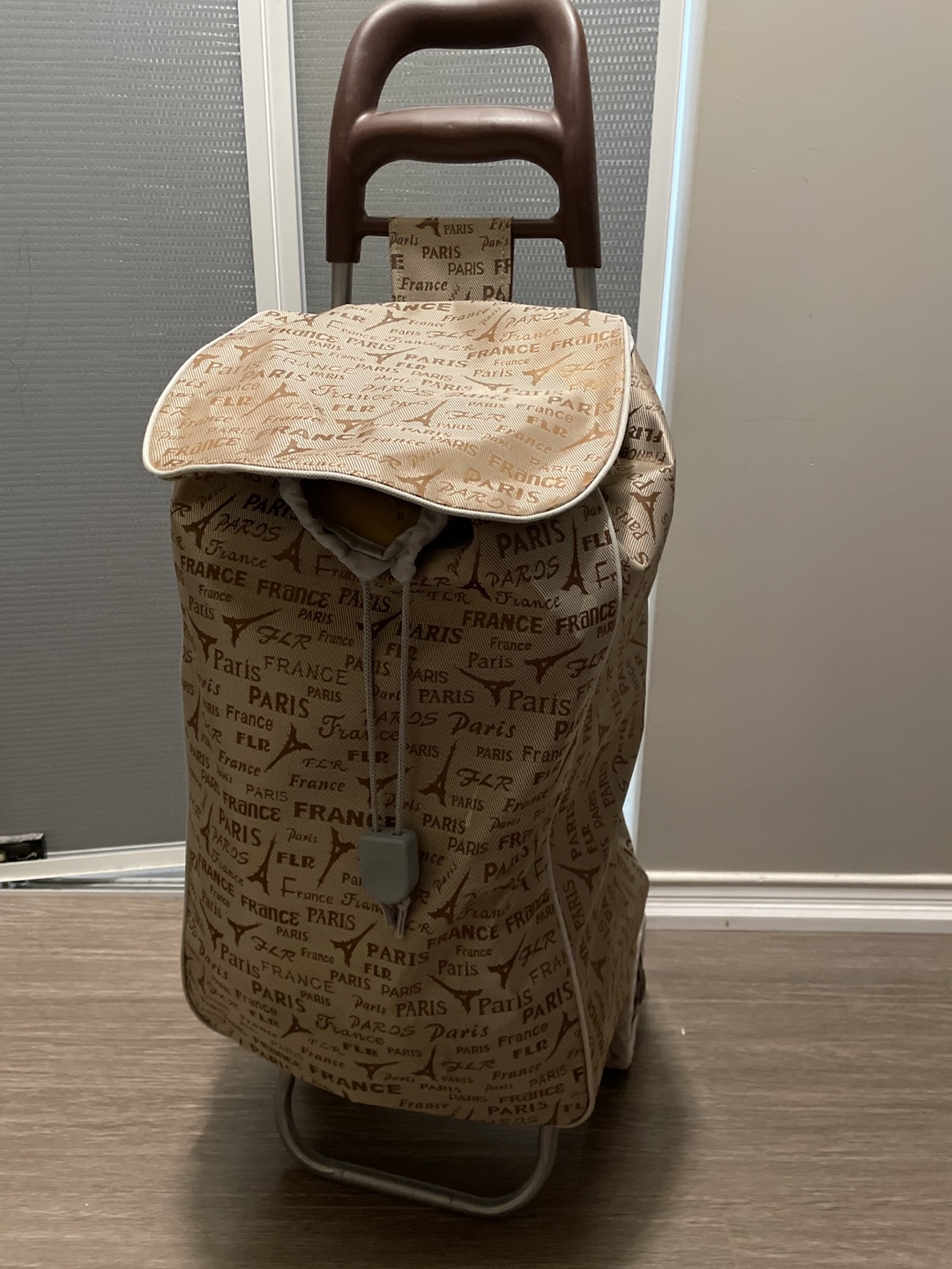 Rolling Shopping Cart