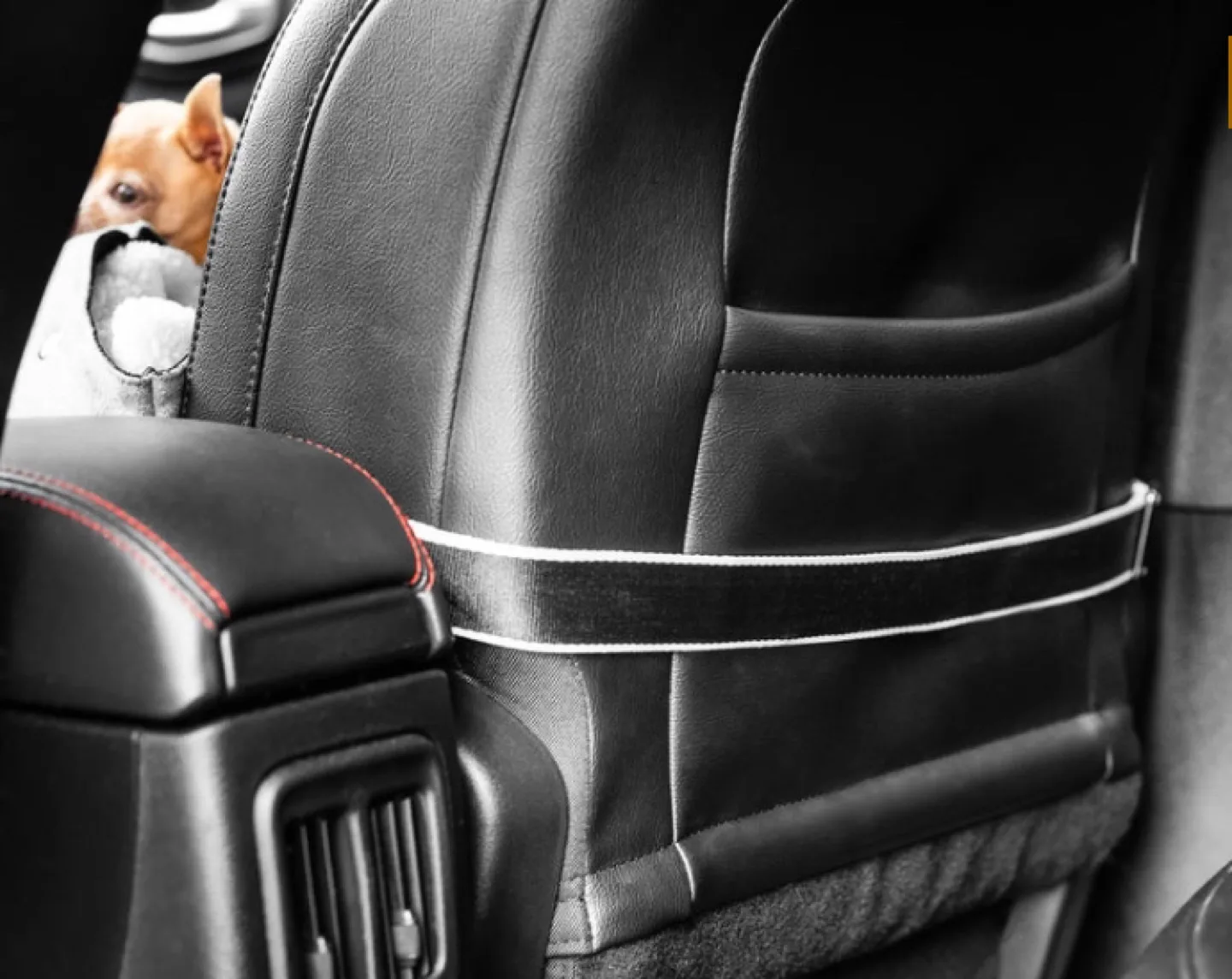 NEW Deluxe Car Seat & Carrier By Hotel Doggy image indicator(4)