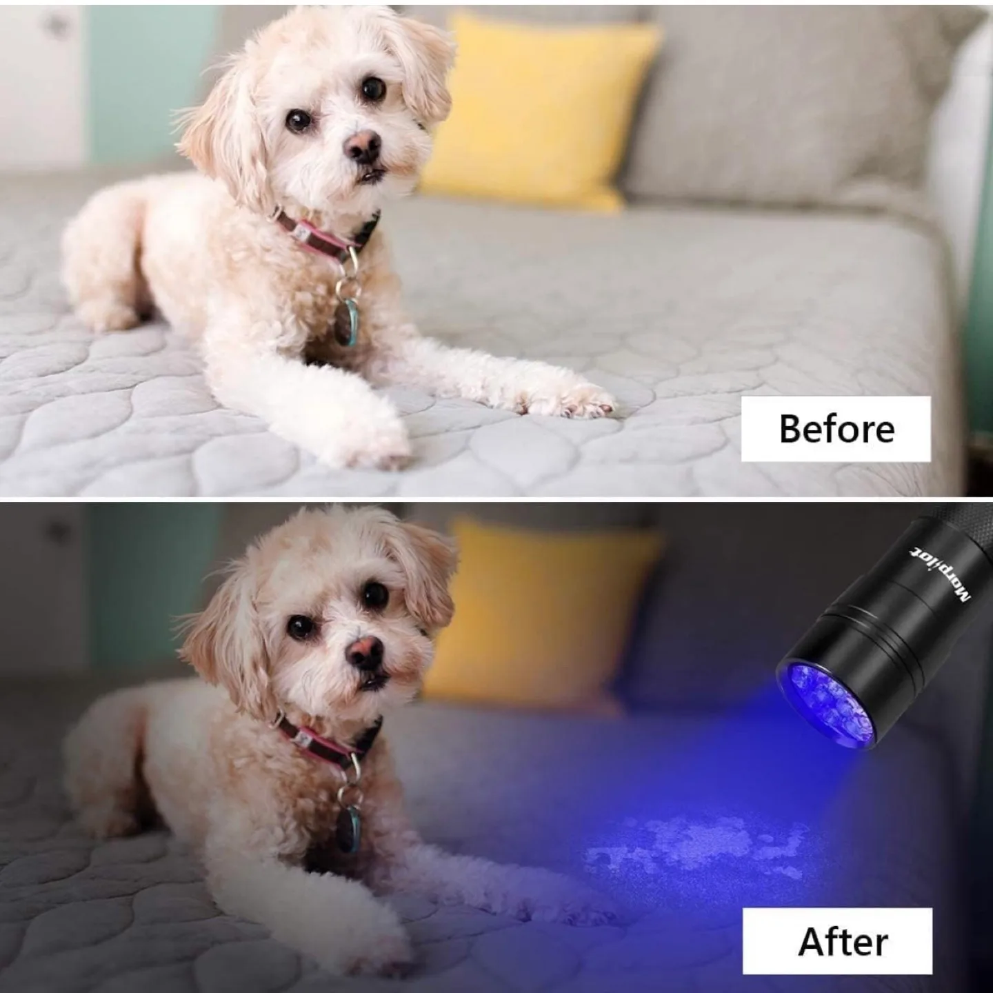 2pc Blacklight Flashlights uv Flashlight,12 LED 395nm image indicator(3)