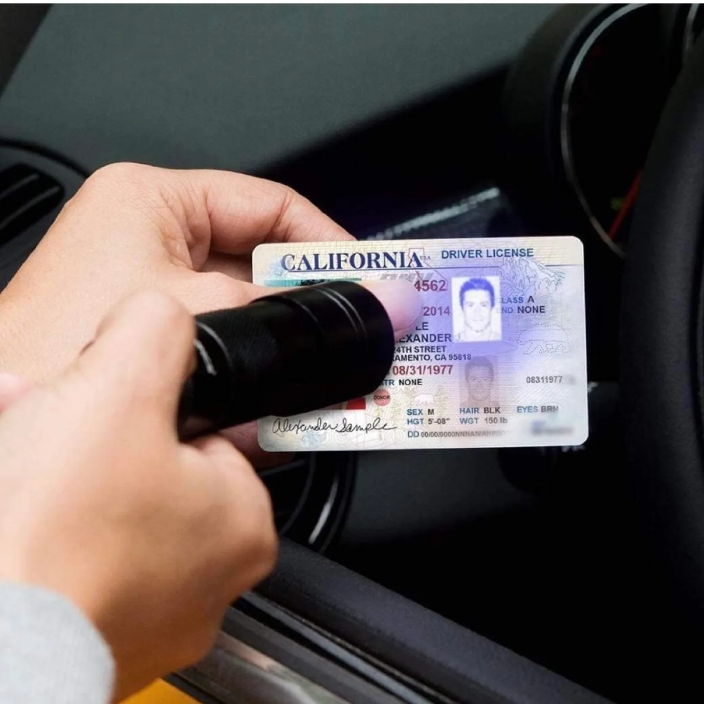 2pc Blacklight Flashlights uv Flashlight,12 LED 395nm image indicator(6)